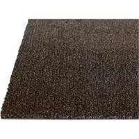 Palliser Indoor Matting, Wiper/Scraper, 6-1/2' x 82' x 5/16", Anglis Meunier Outillage Industriel