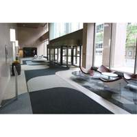 Supreme Knob Entrance Matting, Wiper/Scraper, 6-1/2' x 75-1/2' x 7/16", Charcoal Meunier Outillage Industriel