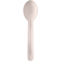 Bagasse Compostable Spoons Meunier Outillage Industriel