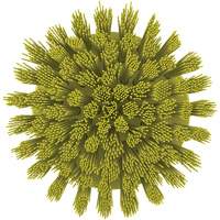 Brosse ronde HyDrive pour perceuse, Soies Tr&egrave;s ferme, Longueur de 3-1/10", Jaune Meunier Outillage Industriel