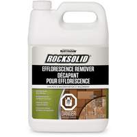 RockSolid<sup>®</sup> Efflorescence Remover KR387 | Meunier Outillage Industriel