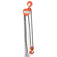 Chain Hoist, 20' Lift, 4000 lbs. (2 tons) Capacity, Alloy Steel Chain LU583 | Meunier Outillage Industriel