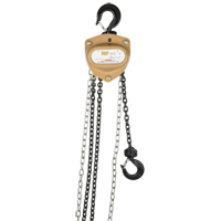 Heavy-Duty Gold Series Chain Hoist, 20' Lift, 2000 lbs. (1 tons) Capacity, Alloy Steel Chain Meunier Outillage Industriel