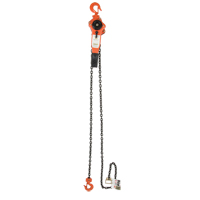 Lever Chain Hoist, 5' Lift, 3000 lbs. (1.5 tons) Capacity, Alloy Steel Chain Meunier Outillage Industriel