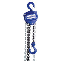 Chain Hoist, 10' Lift, 2000 lbs. (1 tons) Capacity, Load Chain Grade 80 Chain LU646 | Meunier Outillage Industriel