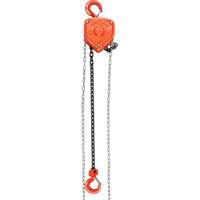 Chain Hoist, 10' Lift, 10000 lbs. (5 tons) Capacity, Alloy Steel Chain Meunier Outillage Industriel