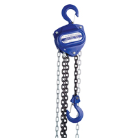 Chain Hoist, 10' Lift, 1000 lbs. (0.5 tons) Capacity MO259 | Meunier Outillage Industriel