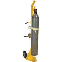 Portable Cylinder Lifter Meunier Outillage Industriel