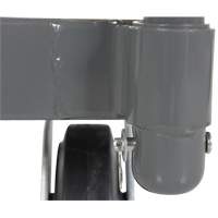 Platform Truck, 48" L x 24" W, 2000 lbs. Capacity, Rubber Casters Meunier Outillage Industriel