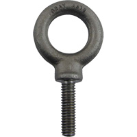 Alloy Steel Eye Bolt, 1" Dia., 1-1/4" L, 1480 lbs. (0.74 tons)/1480 lbs. Capacity Meunier Outillage Industriel