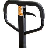 Manual Pallet Truck, Steel, 48" L x 21" W, 5500 lbs. Capacity Meunier Outillage Industriel