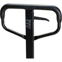 Steel Wheel Pallet Truck, Steel, 48" L x 27" W, 5500 lbs. Capacity Meunier Outillage Industriel