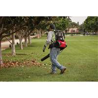 M18 FUEL Dual Battery Backpack Blower Kit, 18 V, 155 MPH Output, Battery Powered Meunier Outillage Industriel