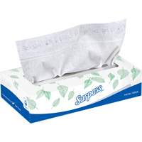 Surpass&reg; Facial Tissue, 2 Ply, 8.3" L x 7.8" W, 100 Sheets/Box Meunier Outillage Industriel