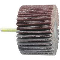 Disque &agrave; lamelles mont&eacute; sur mandrin, Grain 60, 1-1/2" x 1/4" Meunier Outillage Industriel