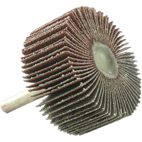 Disque &agrave; lamelles mont&eacute;, Grain 60, 2" x 1" x 1/4" Meunier Outillage Industriel