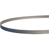 Lames de scie &agrave; ruban portatives Master-Band, Bim&eacute;tal, 18 Dents par pouce, 44-7/8" lo x 1/2" la Meunier Outillage Industriel