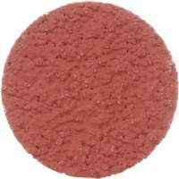 Cubitron II Roloc Durable Edge Disc, 2" Dia., 36+ Grit, Ceramic Meunier Outillage Industriel