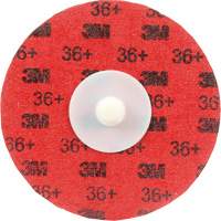 Cubitron II Roloc Durable Edge Disc, 3" Dia., 36+ Grit, Ceramic Meunier Outillage Industriel