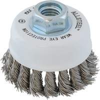 ALLSTEEL Wire Brush, 3" Dia. x 5/8"-11 Arbor Meunier Outillage Industriel
