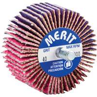 Mini-meule &agrave; lamelles filet&eacute;es, C&eacute;ramique d'alumine, Grain 40, 2" x 1" x 1/4"-20 Meunier Outillage Industriel