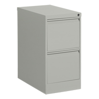 Vertical Filing Cabinet, Steel, 2 Drawers, 15-1/7" W x 25" D x 29" H, Grey Meunier Outillage Industriel