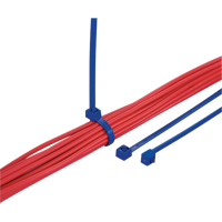 Metal Detectable Cable Ties, 7-9/10" L, 50 lbs. Tensile Strength PF430 | Meunier Outillage Industriel