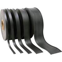 Porte-&eacute;tiquette, Magn&eacute;tique, 600" lo x 2" la Meunier Outillage Industriel