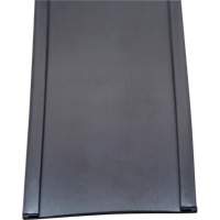 Porte-&eacute;tiquette, Magn&eacute;tique, 600" lo x 2" la Meunier Outillage Industriel