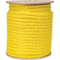 Braided Yellow Rope, Polypropylene, 300' Meunier Outillage Industriel