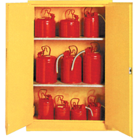 Insulated Flammable Liquid Safety Cabinets, 30 gal., 2 Door, 44" W x 45" H x 19" D SA087 | Meunier Outillage Industriel