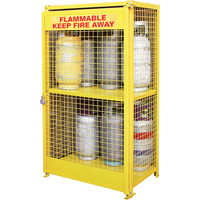Gas Cylinder Cabinets, 12 Cylinder Capacity, 44" W x 30" D x 74" H, Yellow SAF847 | Meunier Outillage Industriel
