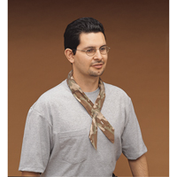 ALLEGRO INDUSTRIES Cool Offs Bandana, Multi-Colour Meunier Outillage Industriel