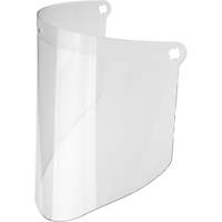 Visor, Propionate, Clear Tint Meunier Outillage Industriel