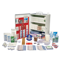 Workplace Deluxe First Aid Kits, Class 1 Medical Device, Metal Box Meunier Outillage Industriel