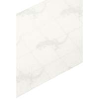 Premium Anti-Skid Tape, 4" x 60', Clear Meunier Outillage Industriel
