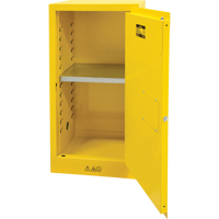 Flammable Storage Cabinet, 16 gal., 1 Door, 23" W x 44" H x 18" D Meunier Outillage Industriel