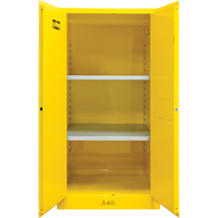 Flammable Storage Cabinet, 60 gal., 2 Door, 34" W x 65" H x 34" D SDN648 | Meunier Outillage Industriel