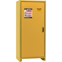 30-Minute EN Safety Storage Cabinet, 30 gal., 1 Door, 34.02" W x 76.65" H x 24.21" D SDS990 | Meunier Outillage Industriel