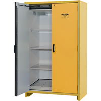 30-Minute EN Safety Storage Cabinet, 45 gal., 2 Door, 45.83" W x 76.65" H x 24.21" D SDS991 | Meunier Outillage Industriel