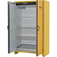 30-Minute EN Safety Storage Cabinet, 45 gal., 2 Door, 45.83" W x 76.65" H x 24.21" D SDS991 | Meunier Outillage Industriel