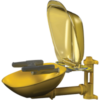 Halo Face/Eyewash Stations, Wall-Mount Installation, Plastic Bowl Meunier Outillage Industriel