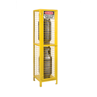 Gas Cylinder Cabinets, 2 Cylinder Capacity, 17" W x 17" D x 69" H, Yellow SEB838 | Meunier Outillage Industriel