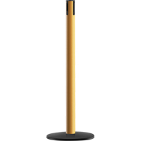 Advance TensaBarrier&reg; - Receiver Post, 36" High, Yellow Meunier Outillage Industriel