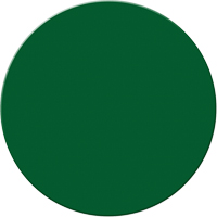 Marqueurs all&eacute;g&eacute;e/5S Armor Stripe, Cercle, 6" lo x 6" la, Vert, Plastique Meunier Outillage Industriel