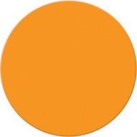 Marqueurs all&eacute;g&eacute;e/5S Armor Stripe, Cercle, 6" lo x 6" la, Orange, Plastique Meunier Outillage Industriel