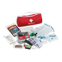 Dynamic Car First Aid Kit, Class 1 Medical Device, Nylon Bag Meunier Outillage Industriel