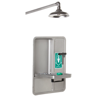 Eye/Face Wash and Shower, Ceiling-Mount SGC296 | Meunier Outillage Industriel