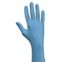 N-Dex&reg; 7500PF Gloves, Small, Nitrile, 4-mil, Powder-Free, Blue Meunier Outillage Industriel
