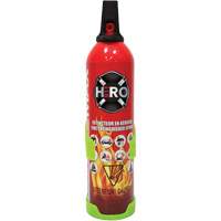 Fire Extinguisher, ABC/K, 2 lbs. Capacity SGC461 | Meunier Outillage Industriel